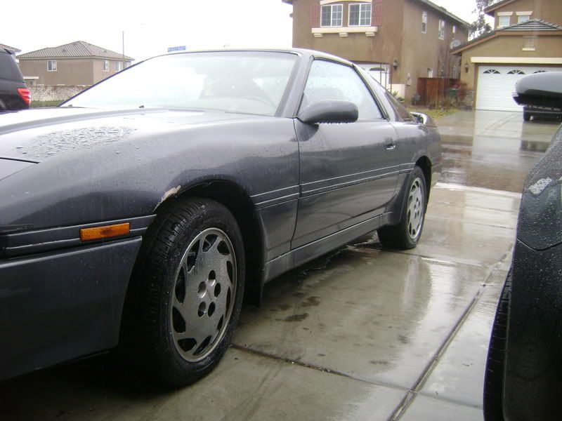 p900954_2.jpg