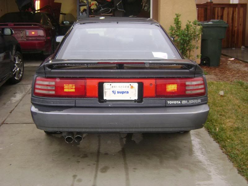 p900954_3.jpg