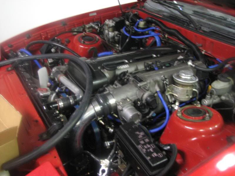p906632_5.jpg