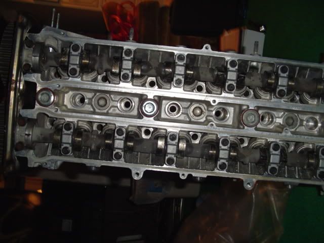 p907402_1.jpg