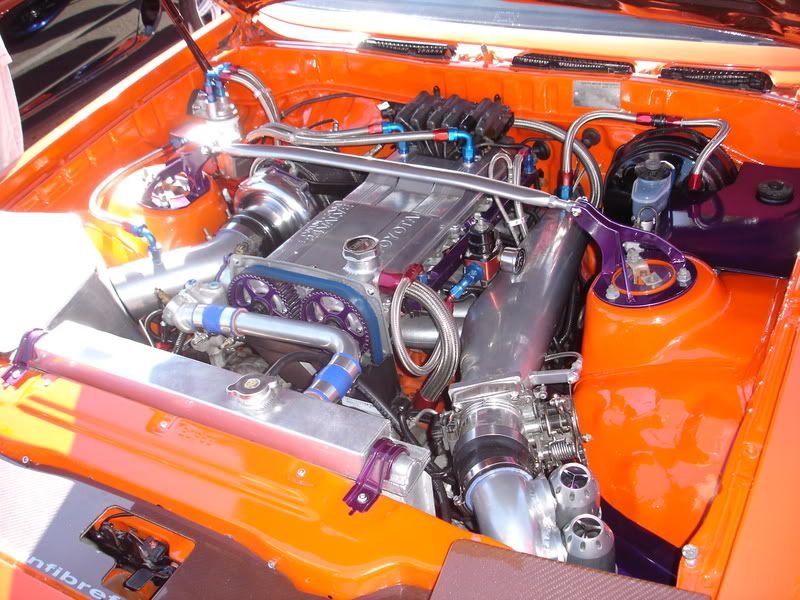 p913772_1.jpg