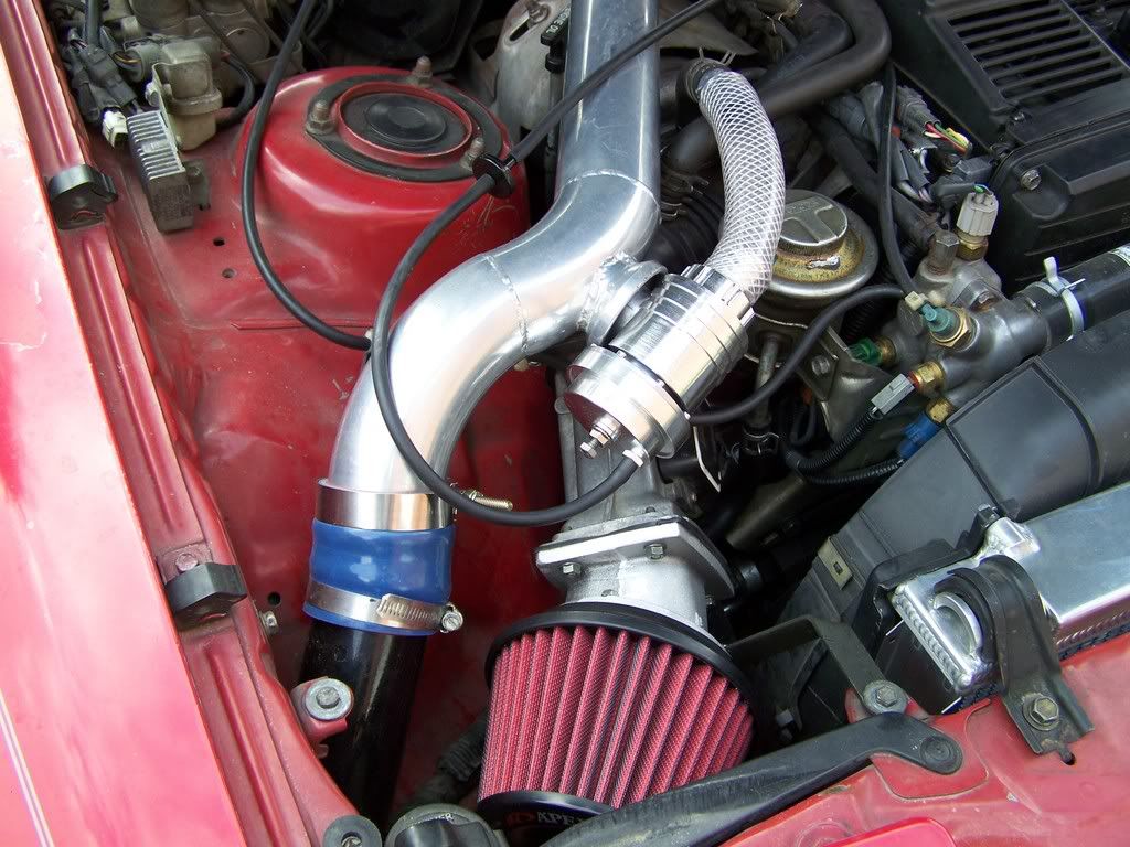 p914351_1.jpg