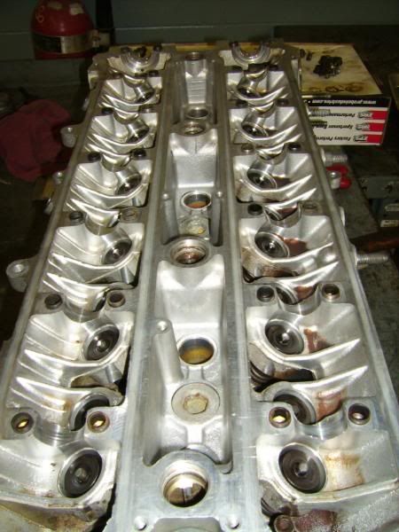 p914880_1.jpg