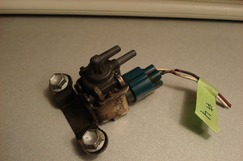 p915135_1.jpg