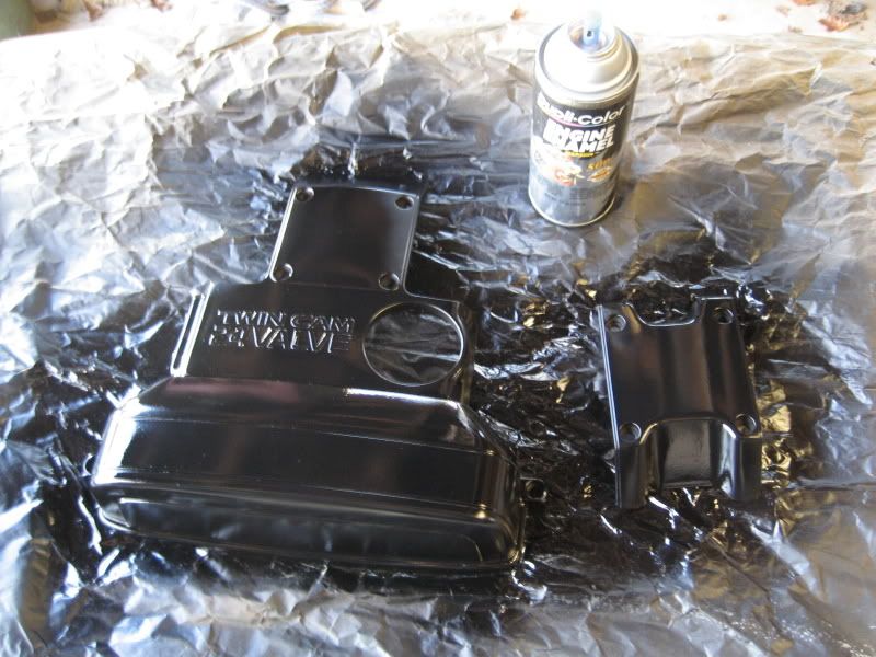 p919975_1.jpg