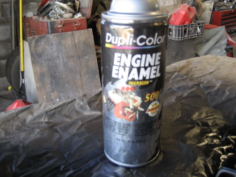 p919975_2.jpg