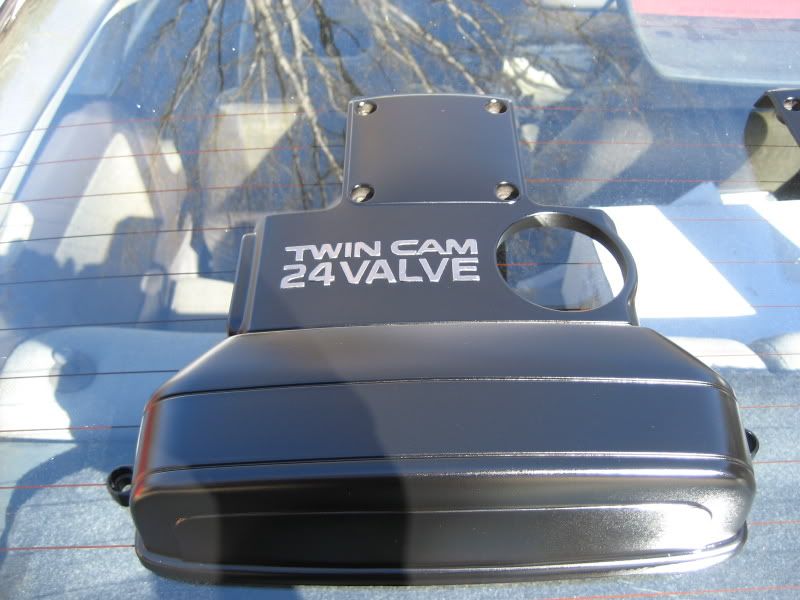 p919975_3.jpg