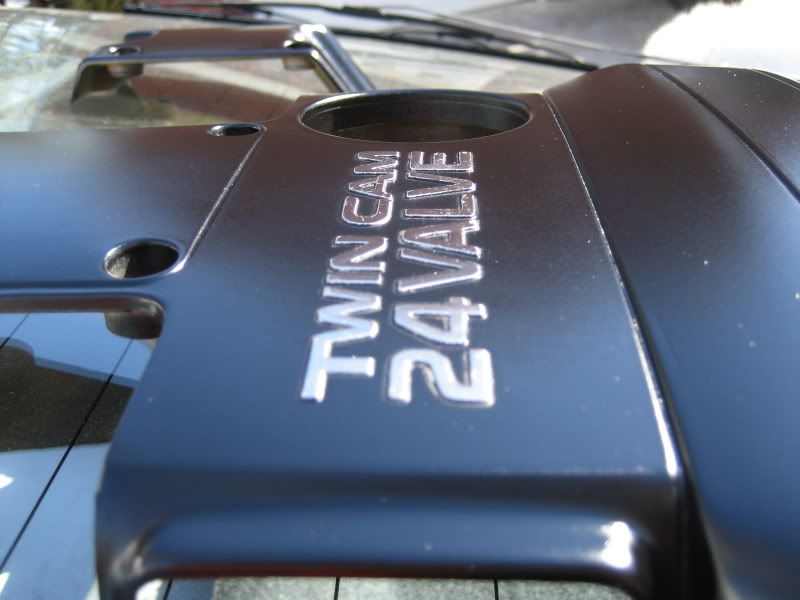 p919975_4.jpg