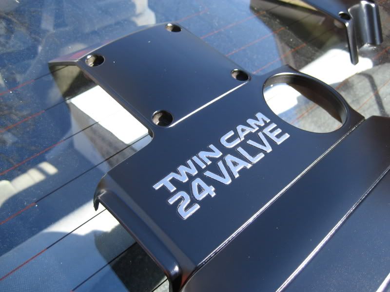p919975_5.jpg