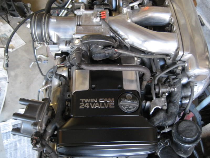 p919975_6.jpg