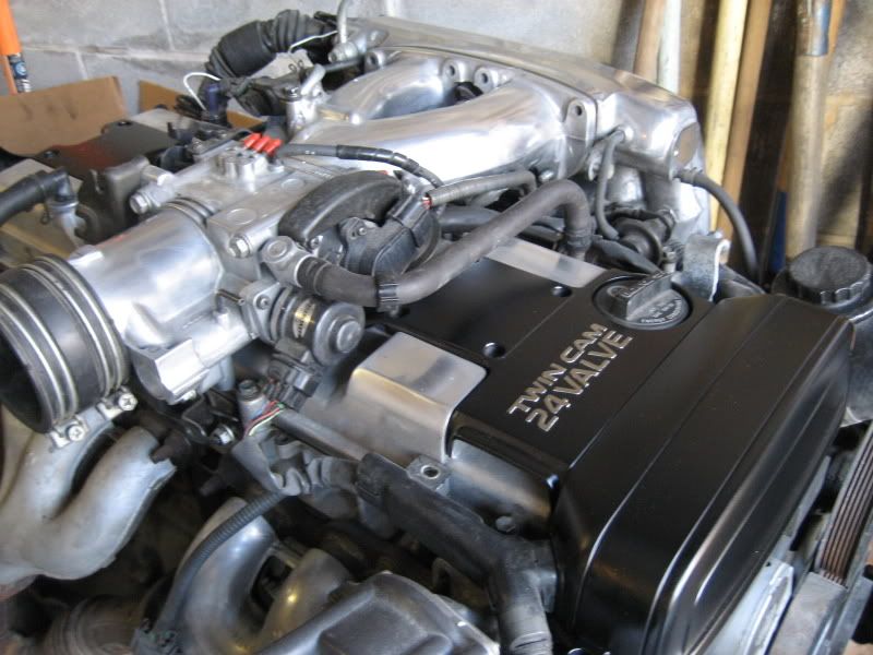p919975_7.jpg