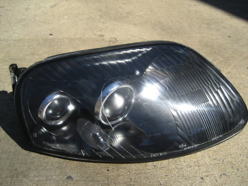p919976_10.jpg