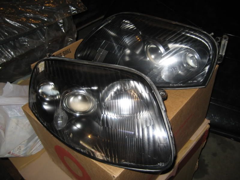 p919976_7.jpg