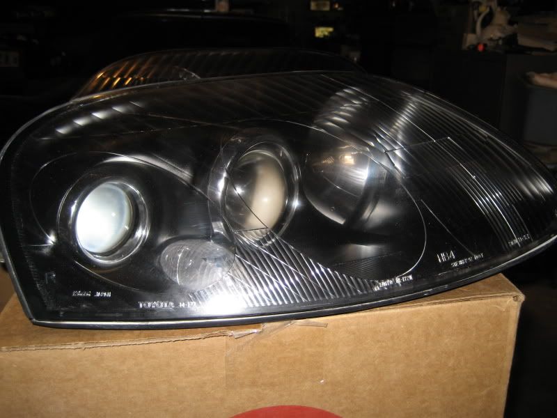 p919976_8.jpg