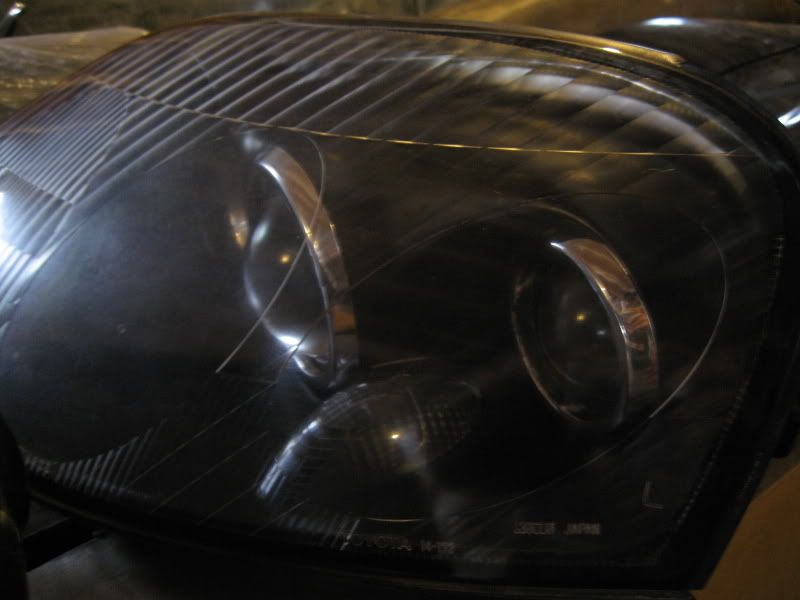 p919976_9.jpg