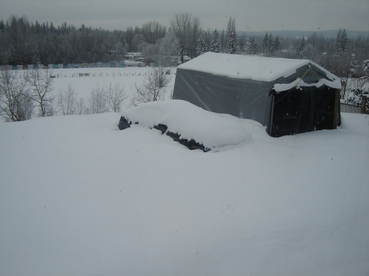 p921461_1.jpg