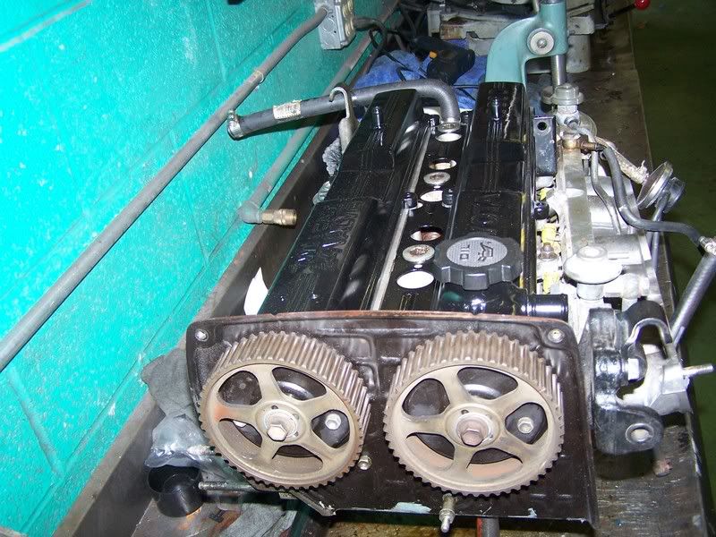 p927485_1.jpg