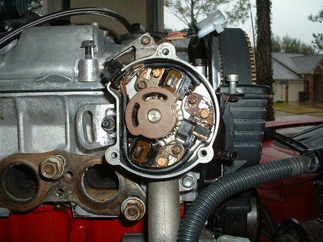 p929256_3.jpg