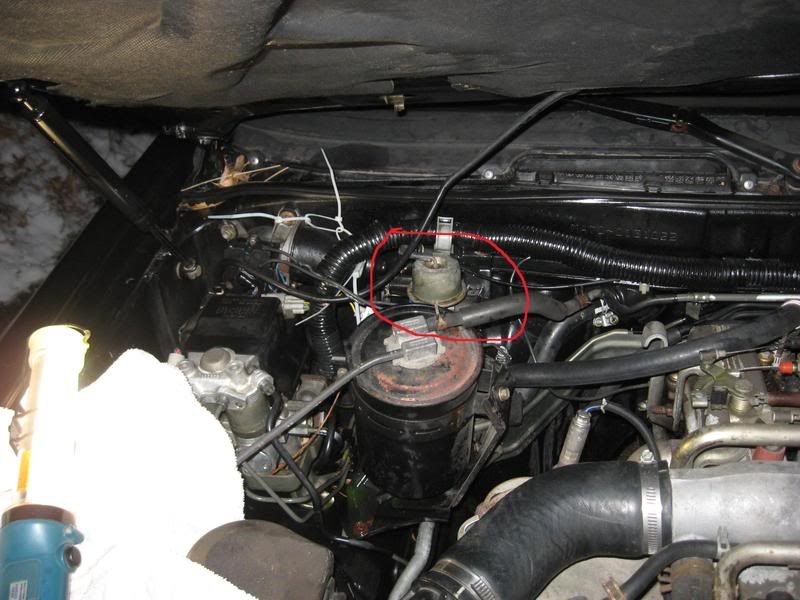 p929441_1.jpg