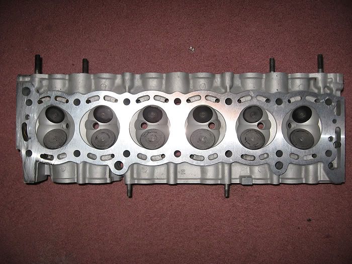 p930290_1.jpg