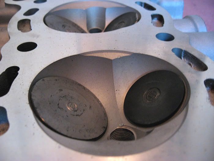 p930290_2.jpg