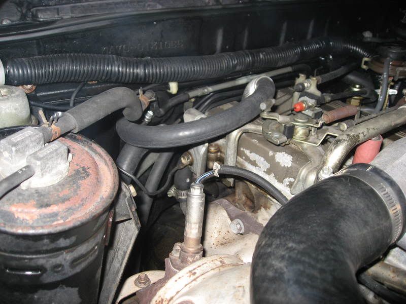 p930338_1.jpg