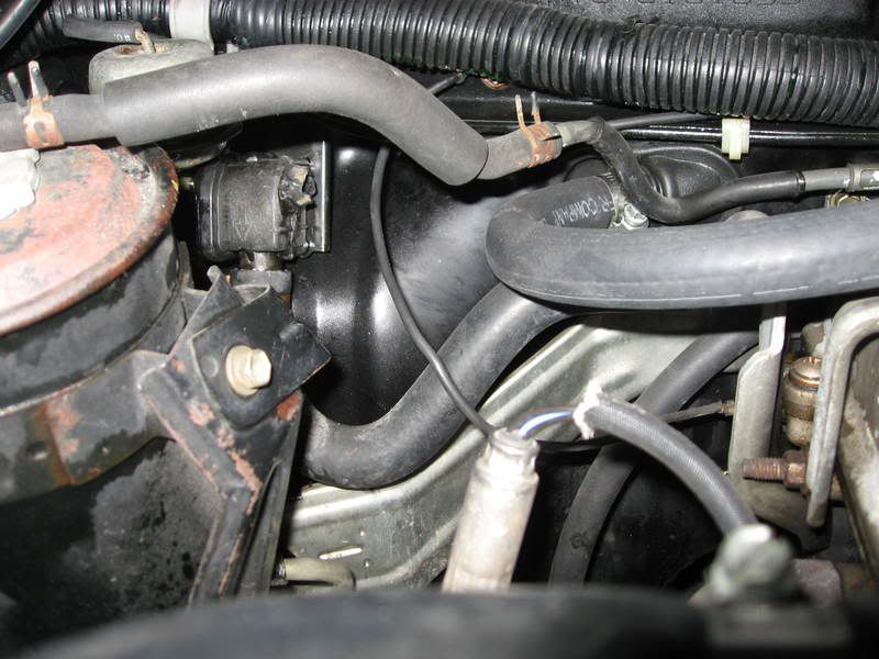 p930338_2.jpg