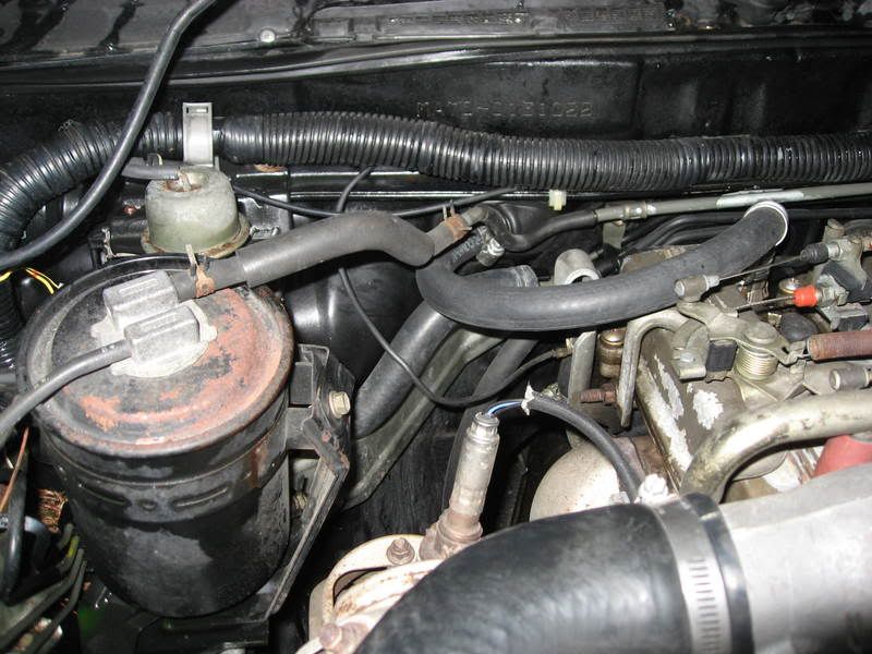 p930338_3.jpg