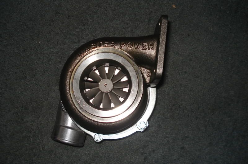 p932792_5.jpg