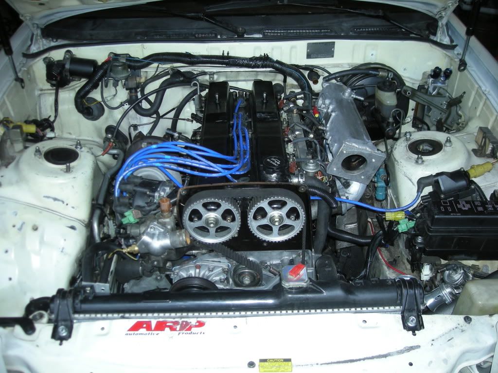p936214_1.jpg