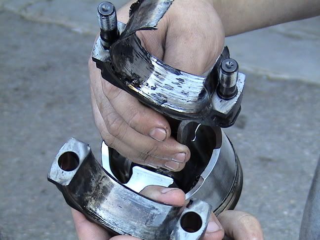 p937352_2.jpg