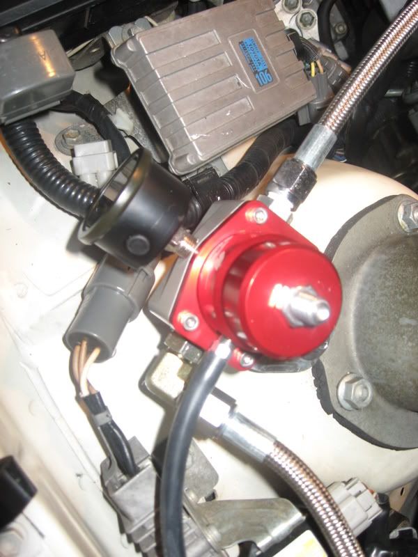 p939201_1.jpg