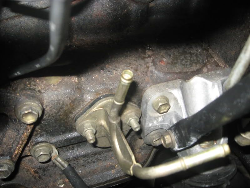p939201_5.jpg
