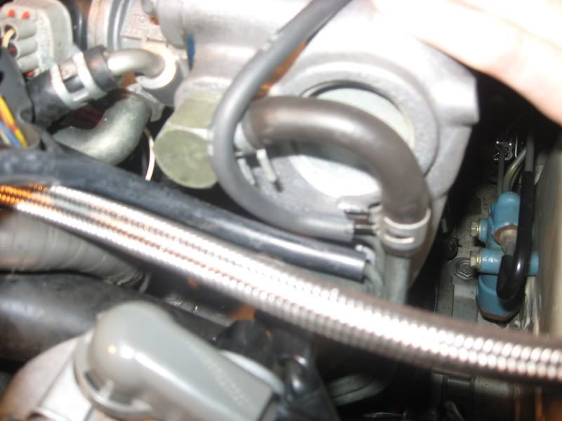 p939201_6.jpg