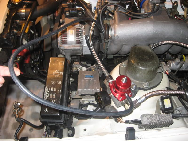 p939201_7.jpg