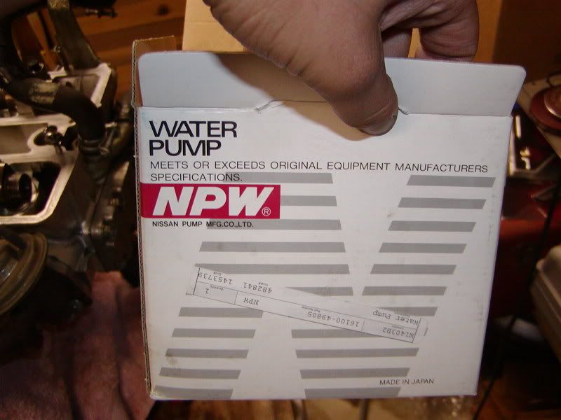 p945518_1.jpg