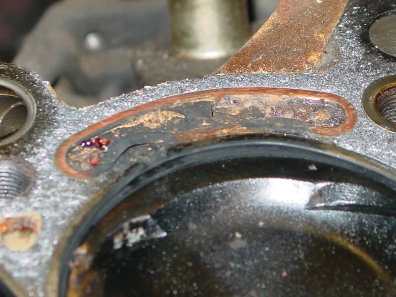 p947110_1.jpg