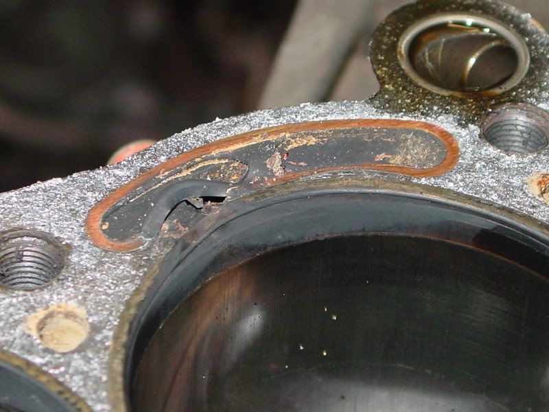 p947110_2.jpg