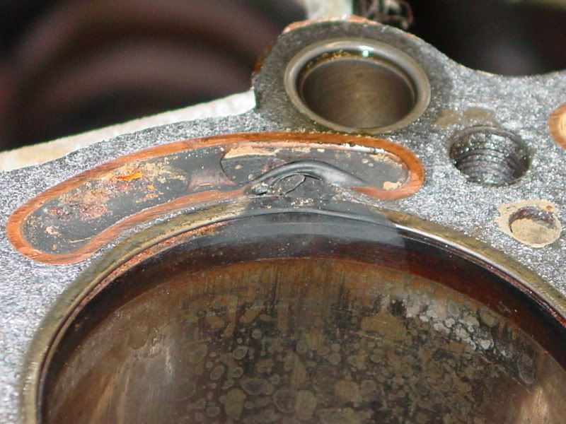 p947110_3.jpg