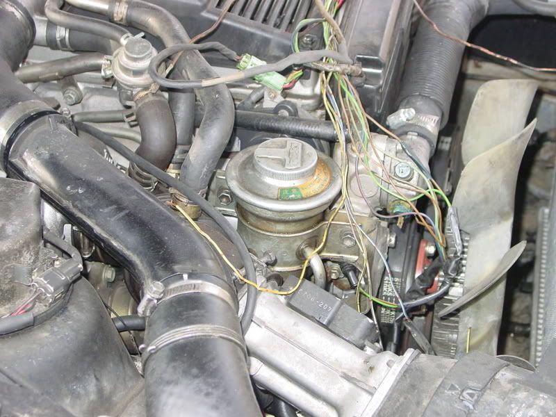 p947116_6.jpg
