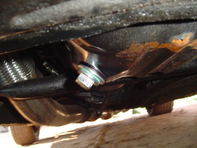 p952491_1.jpg