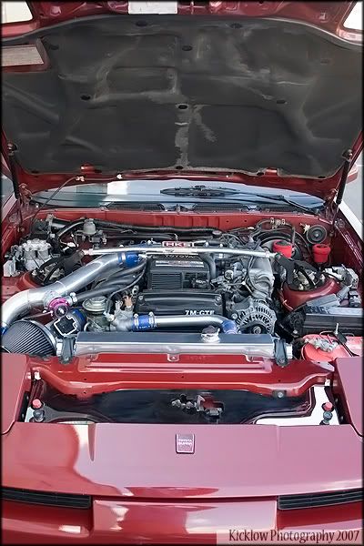 p955268_2.jpg