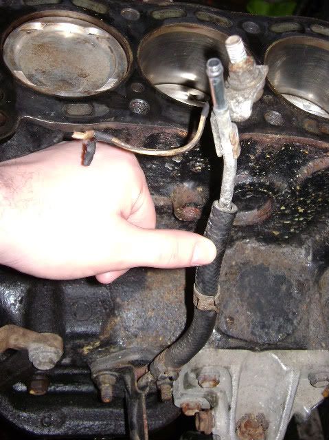 p960150_1.jpg