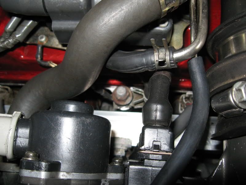 p960386_2.jpg