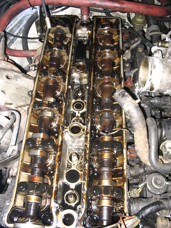 p960938_6.jpg