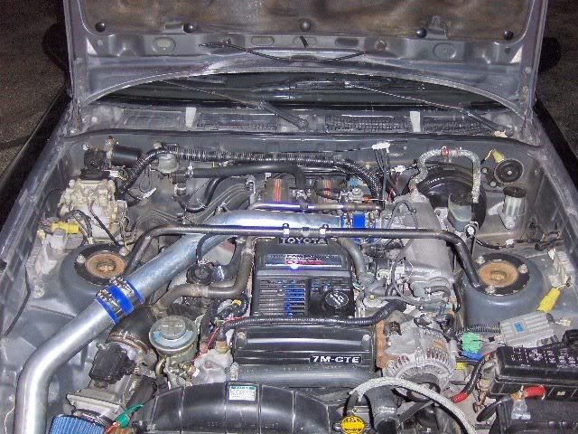 p962799_1.jpg