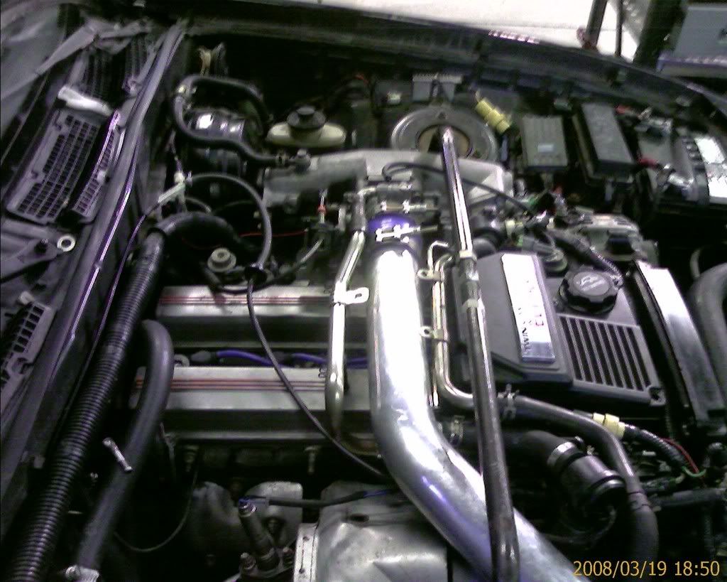 p964454_2.jpg