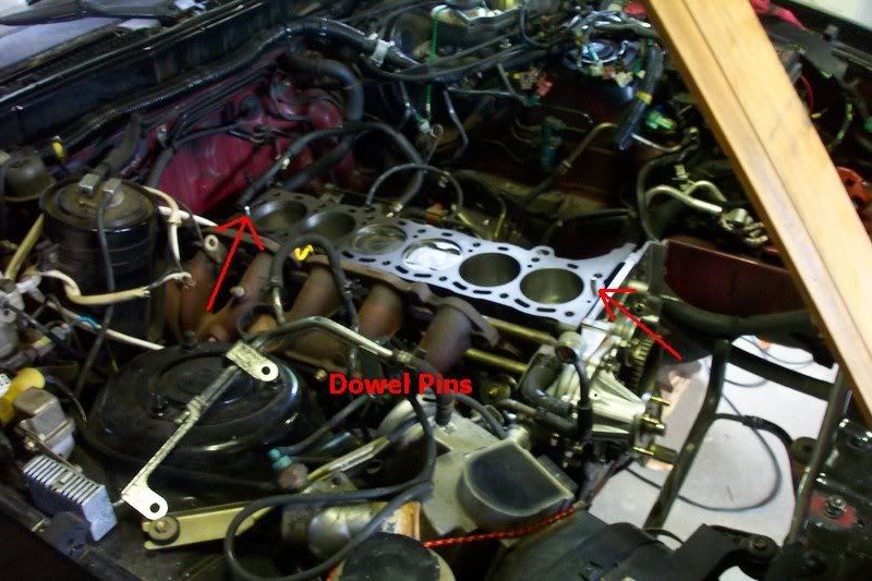 p965056_1.jpg