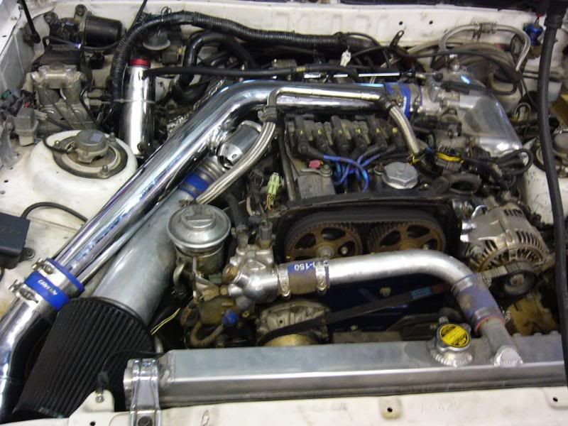 p967633_4.jpg