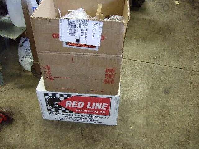 p969191_1.jpg